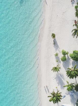 Ein hellblaues Meer und Sandstrand aus Vogelperspektive. Auf dem Strand sin Palmen.